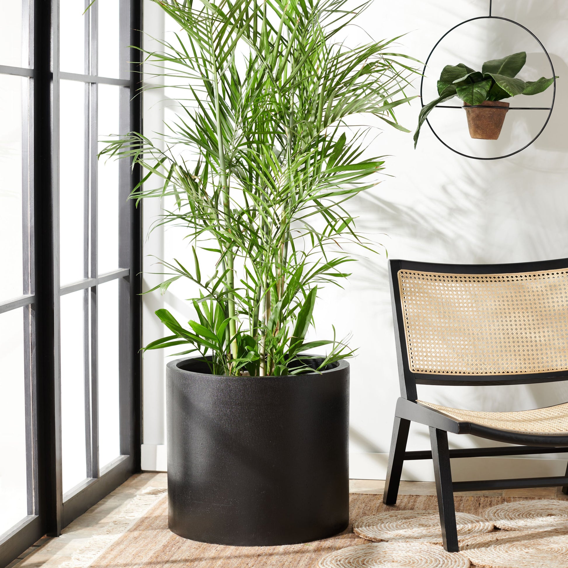 Atwood Planter by HedgeApple Essentials. Made from concrete ficonstone in a modern style.