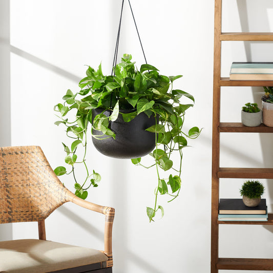 Atlanta Planter by HedgeApple Essentials. Made from unique in a modern style.