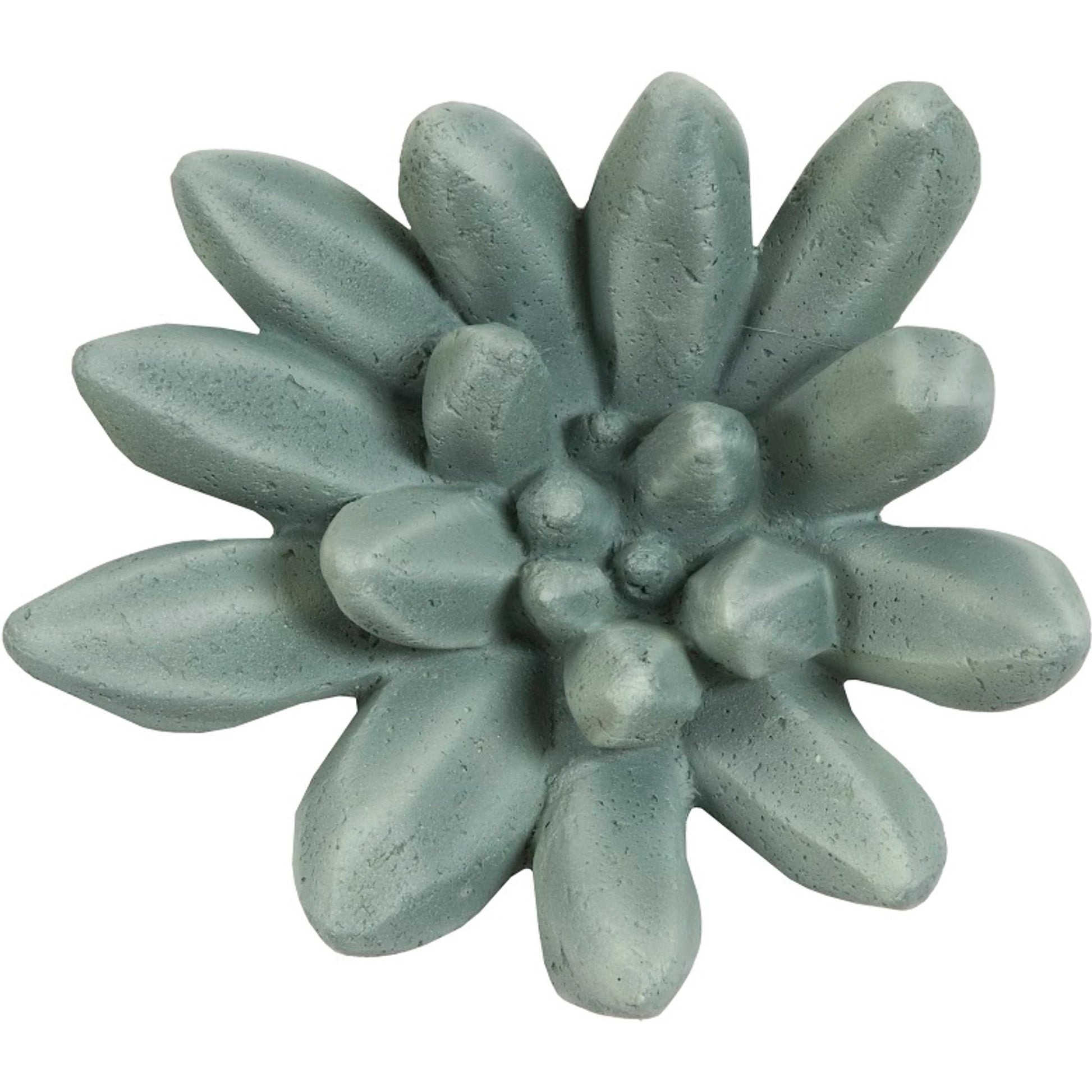 Compactum Succulent Wall Art by Phillips Collection. Made from unique in a modern style.