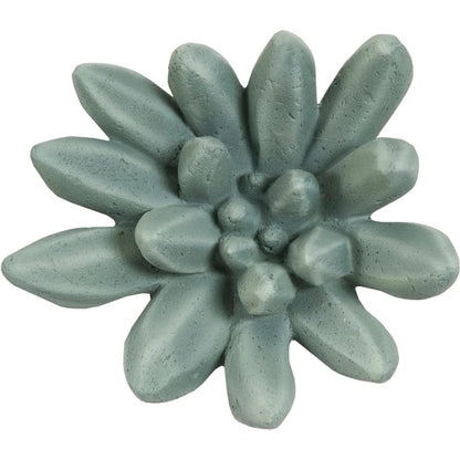 Compactum Succulent Wall Art by Phillips Collection. Made from unique in a modern style.