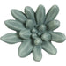 Compactum Succulent Wall Art by Phillips Collection. Made from unique in a modern style.