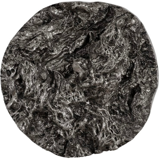 Cast Root Swirling Wall Sculpture by Phillips Collection in silver and silver leaf. Made from resin in a rustic style.