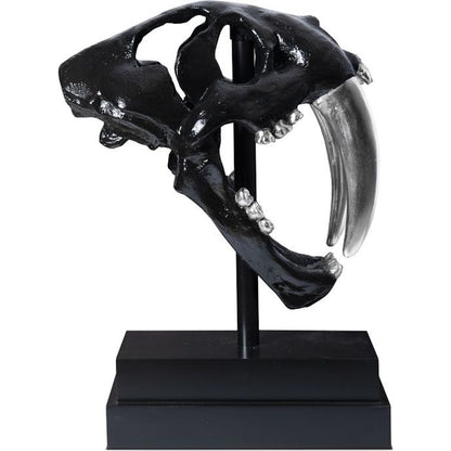 Saber Tooth Tiger Skull by Phillips Collection. Made from unique in a eclectic & global style.