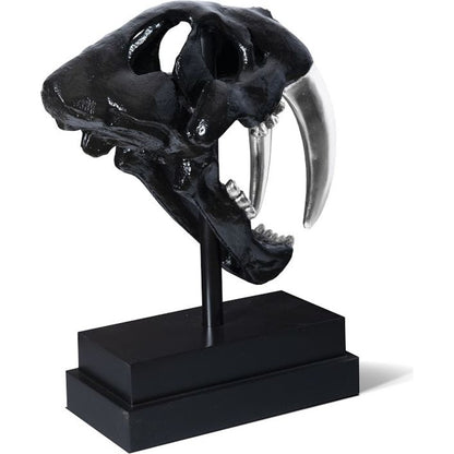 Saber Tooth Tiger Skull by Phillips Collection. Made from unique in a eclectic & global style.