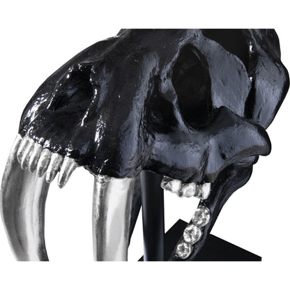 Saber Tooth Tiger Skull by Phillips Collection. Made from unique in a eclectic & global style.