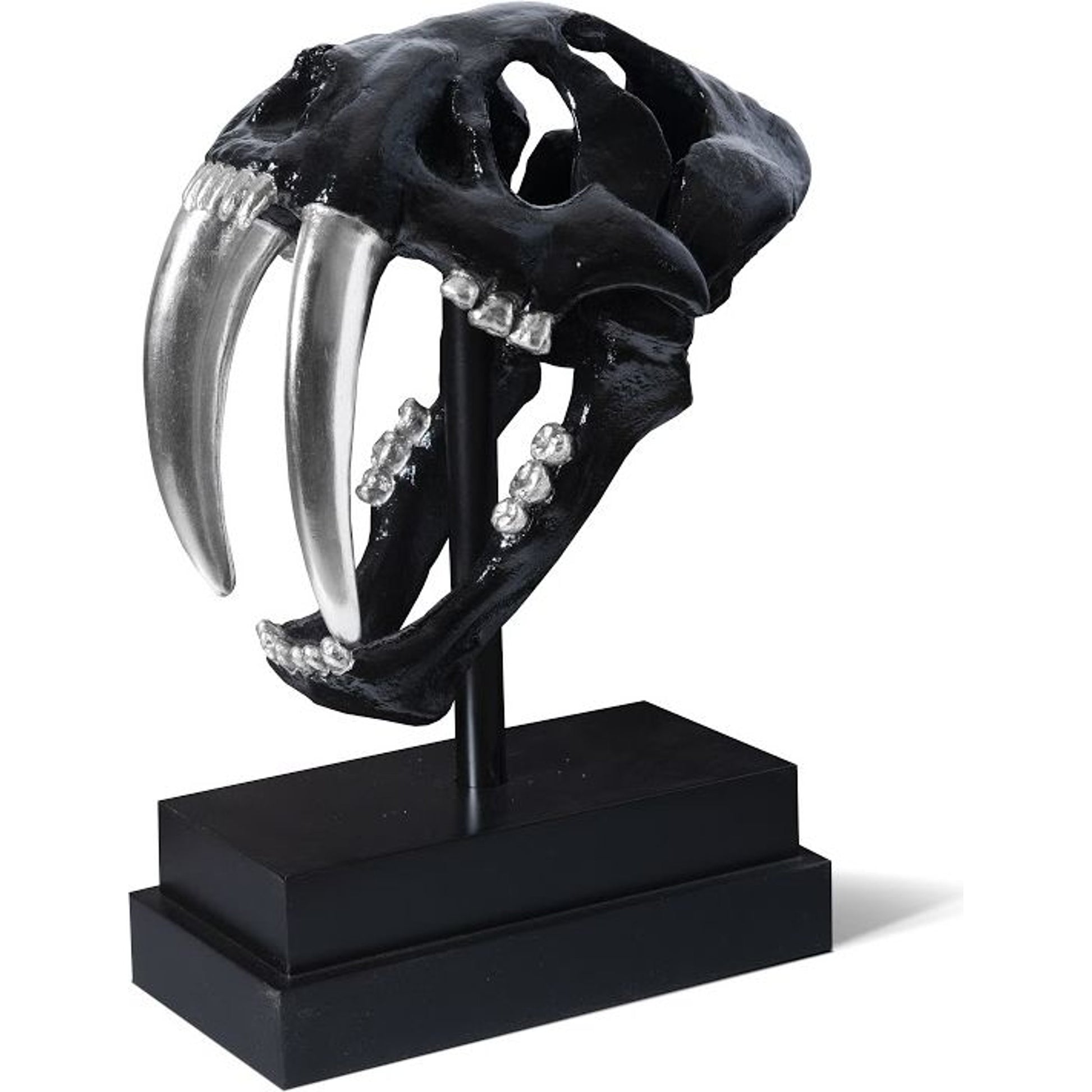 Saber Tooth Tiger Skull by Phillips Collection. Made from unique in a eclectic & global style.