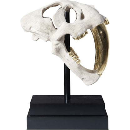Saber Tooth Tiger Skull by Phillips Collection. Made from unique in a eclectic & global style.