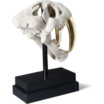 Saber Tooth Tiger Skull by Phillips Collection. Made from unique in a eclectic & global style.