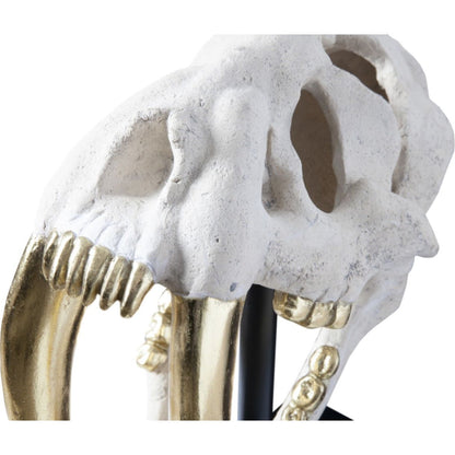 Saber Tooth Tiger Skull by Phillips Collection. Made from unique in a eclectic & global style.