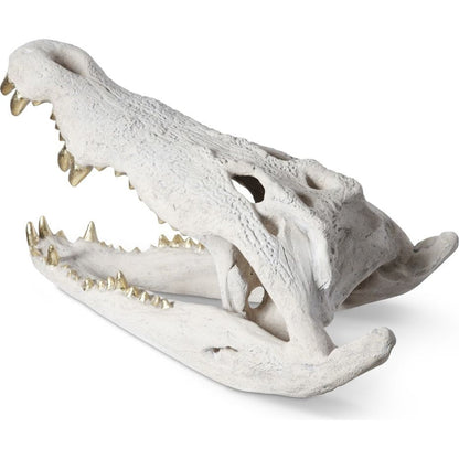 Crocodile Skull by Phillips Collection. Made from unique in a eclectic & global style.