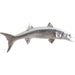 Barracuda Fish by Phillips Collection in silver. Made from resin in a coastal style.