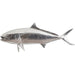 Yellow Tailed King Fish by Phillips Collection in silver. Made from resin in a coastal style.