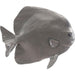Australian Batfish by Phillips Collection in silver. Made from resin in a coastal style.