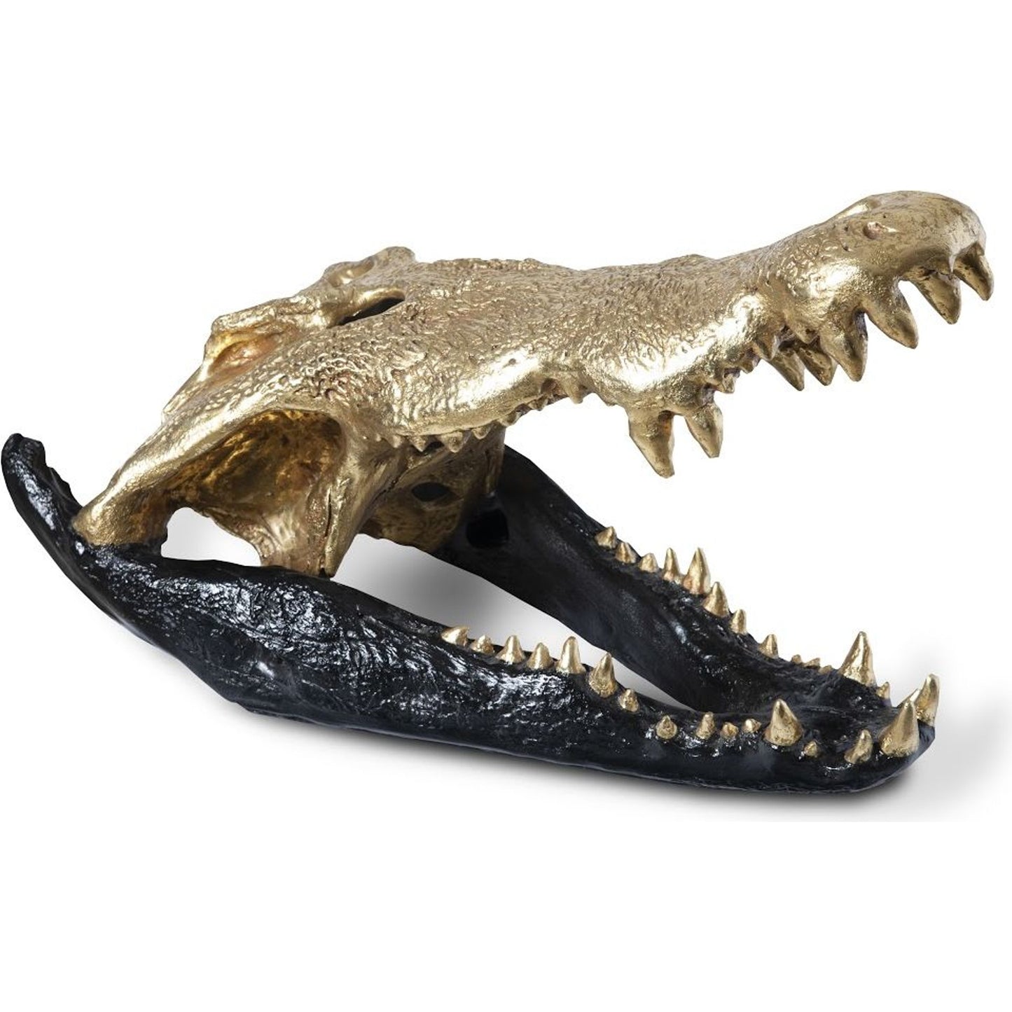 001 SR-820301 | Primary Silo | Crocodile Skull by Phillips Collection. Made from unique in a eclectic & global style.