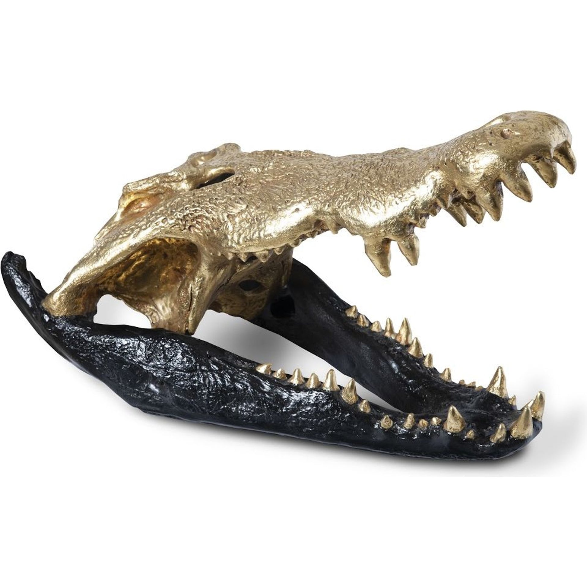 Crocodile Skull by Phillips Collection. Made from unique in a eclectic & global style.