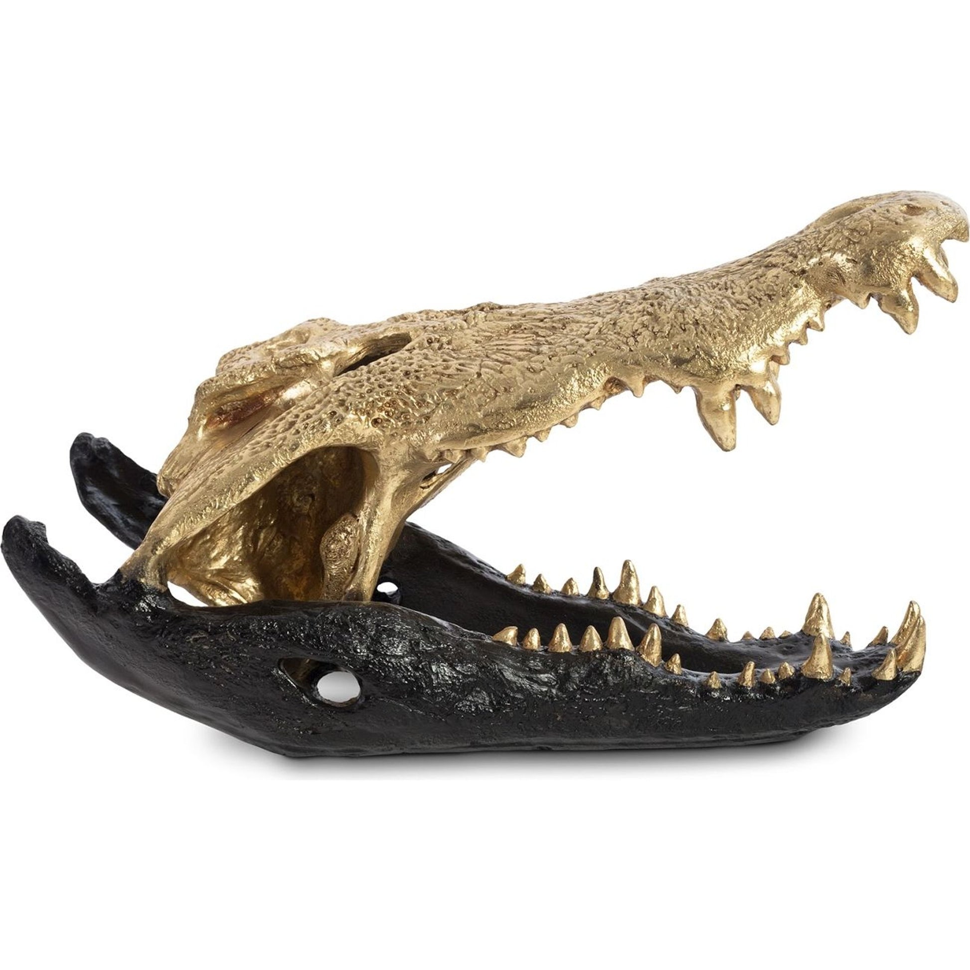 Crocodile Skull by Phillips Collection. Made from unique in a eclectic & global style.