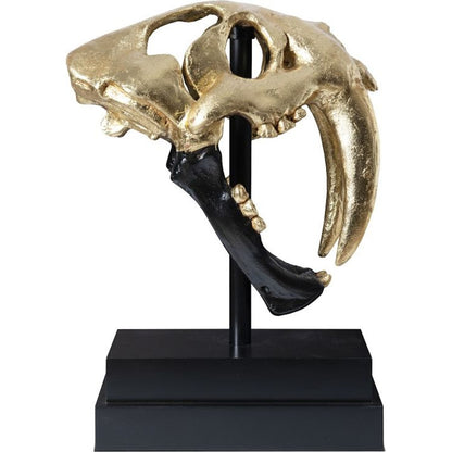 Saber Tooth Tiger Skull by Phillips Collection. Made from unique in a eclectic & global style.