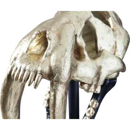 Saber Tooth Tiger Skull by Phillips Collection. Made from unique in a eclectic & global style.