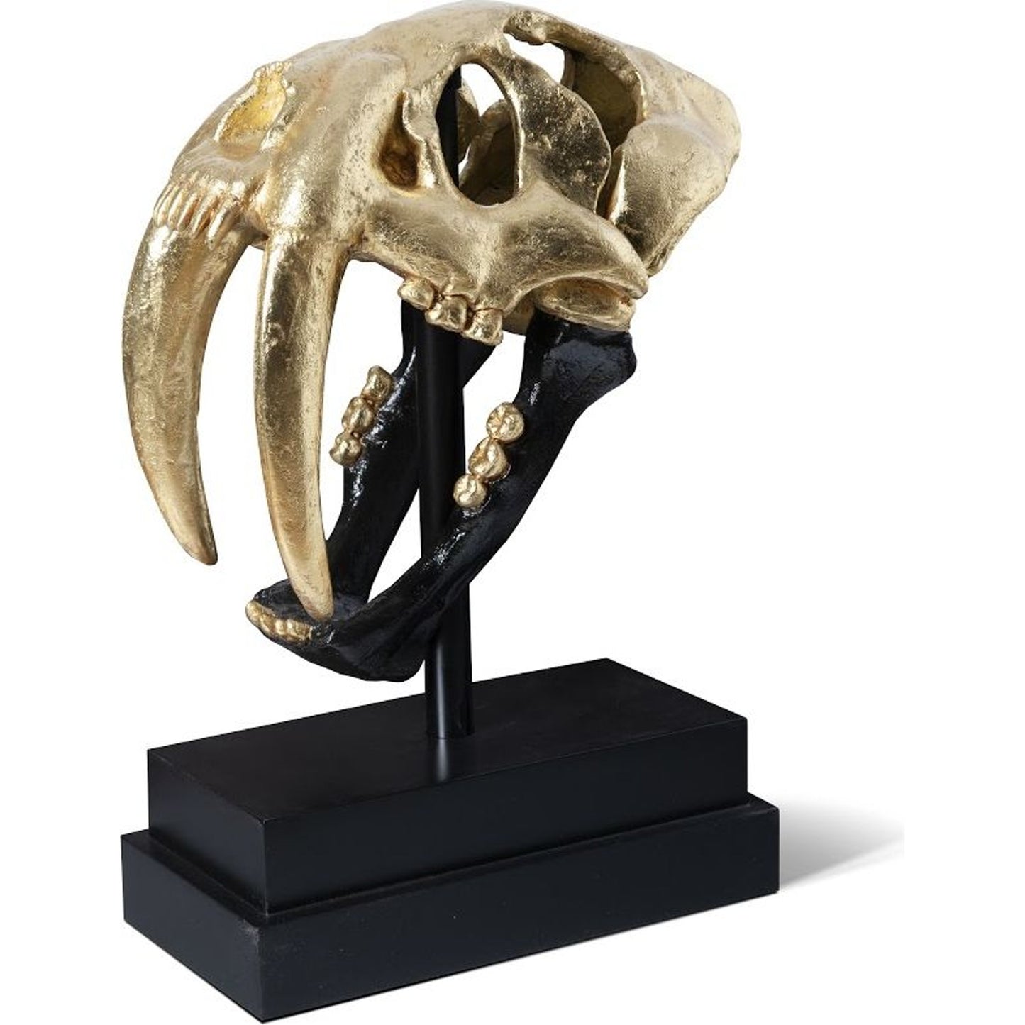 002 SR-820836 | Primary Silo | Saber Tooth Tiger Skull by Phillips Collection. Made from unique in a eclectic & global style.