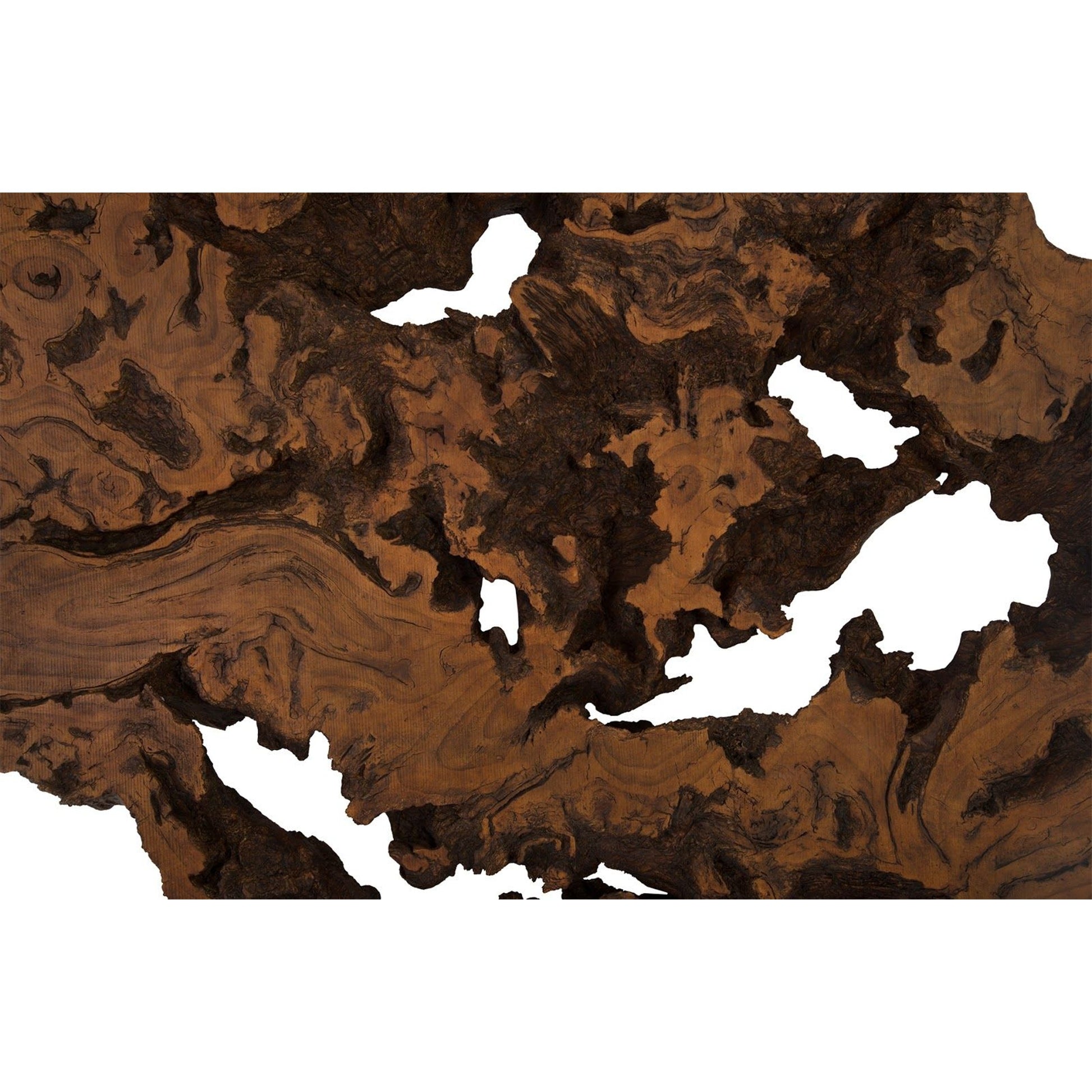 Burled Root Wall Art II by Phillips Collection. Made from resin in a modern style.