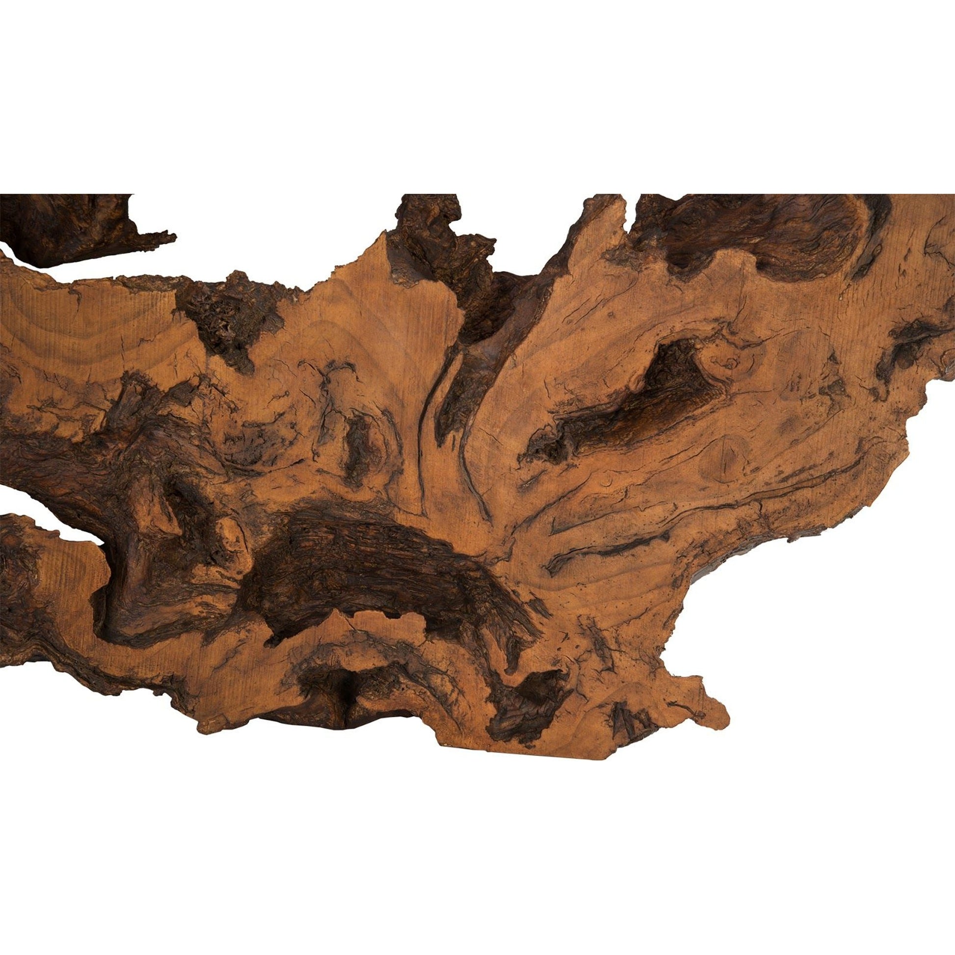 Burled Root Wall Art II by Phillips Collection. Made from resin in a modern style.