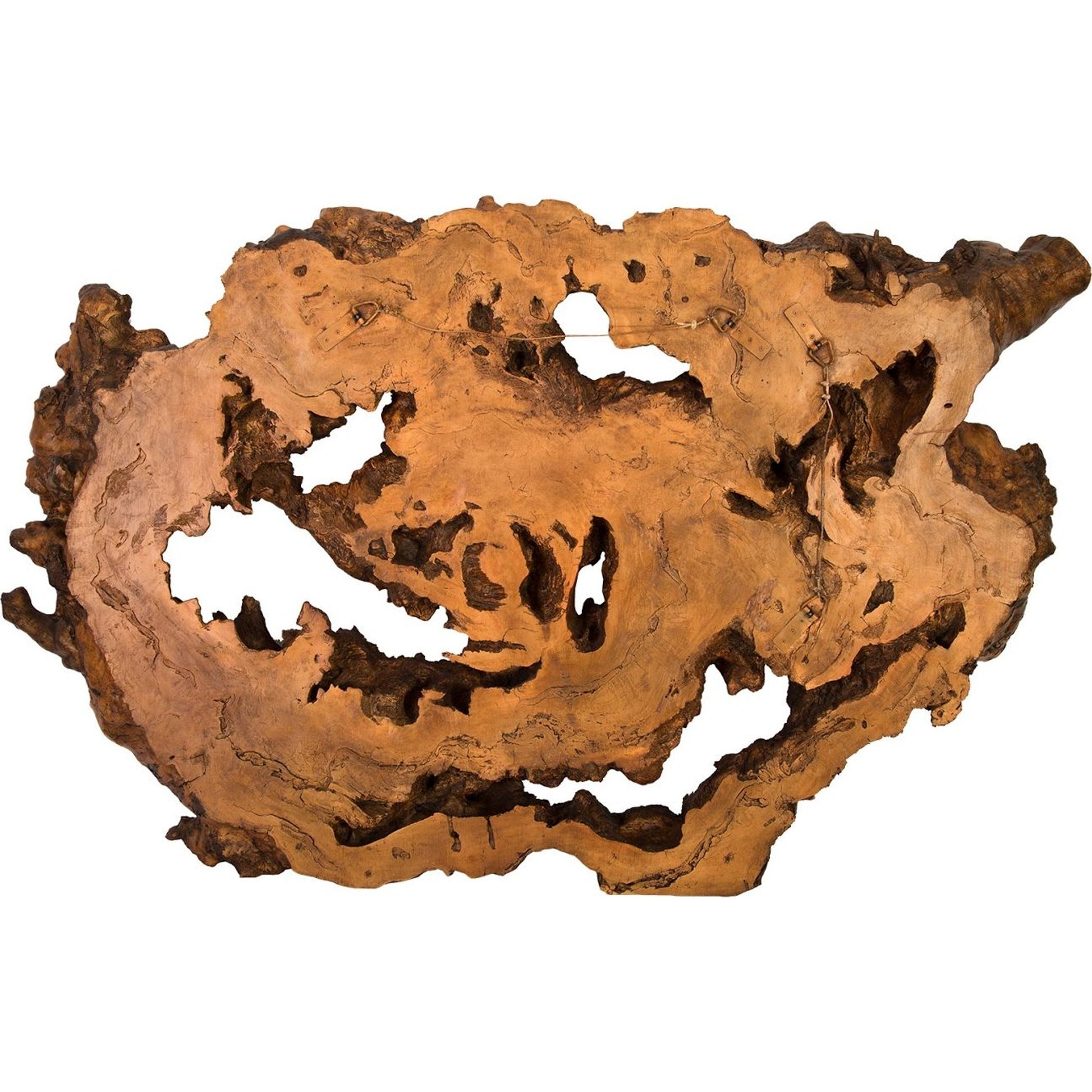 Burled Root Wall Art II by Phillips Collection. Made from resin in a modern style.