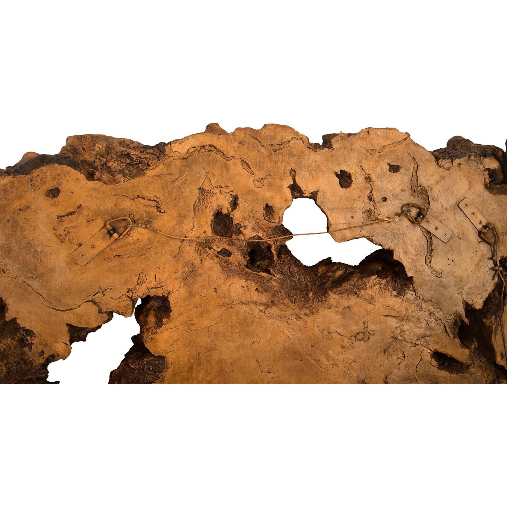 Burled Root Wall Art II by Phillips Collection. Made from resin in a modern style.