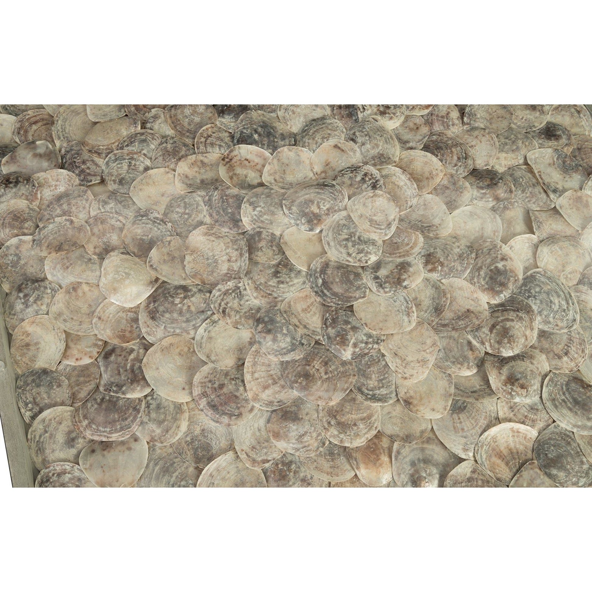 Shell Coffee Table by Phillips Collection. Made from shell in a modern style.