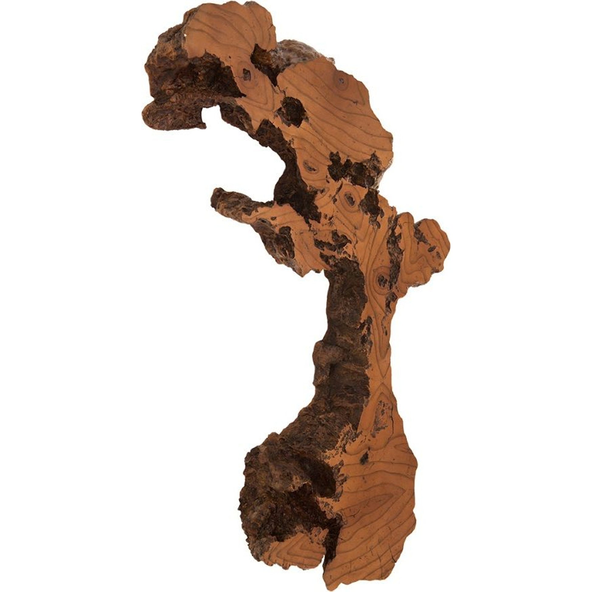 Burled Root Wall Art I by Phillips Collection in brown and faux bois. Made from resin in a modern style.