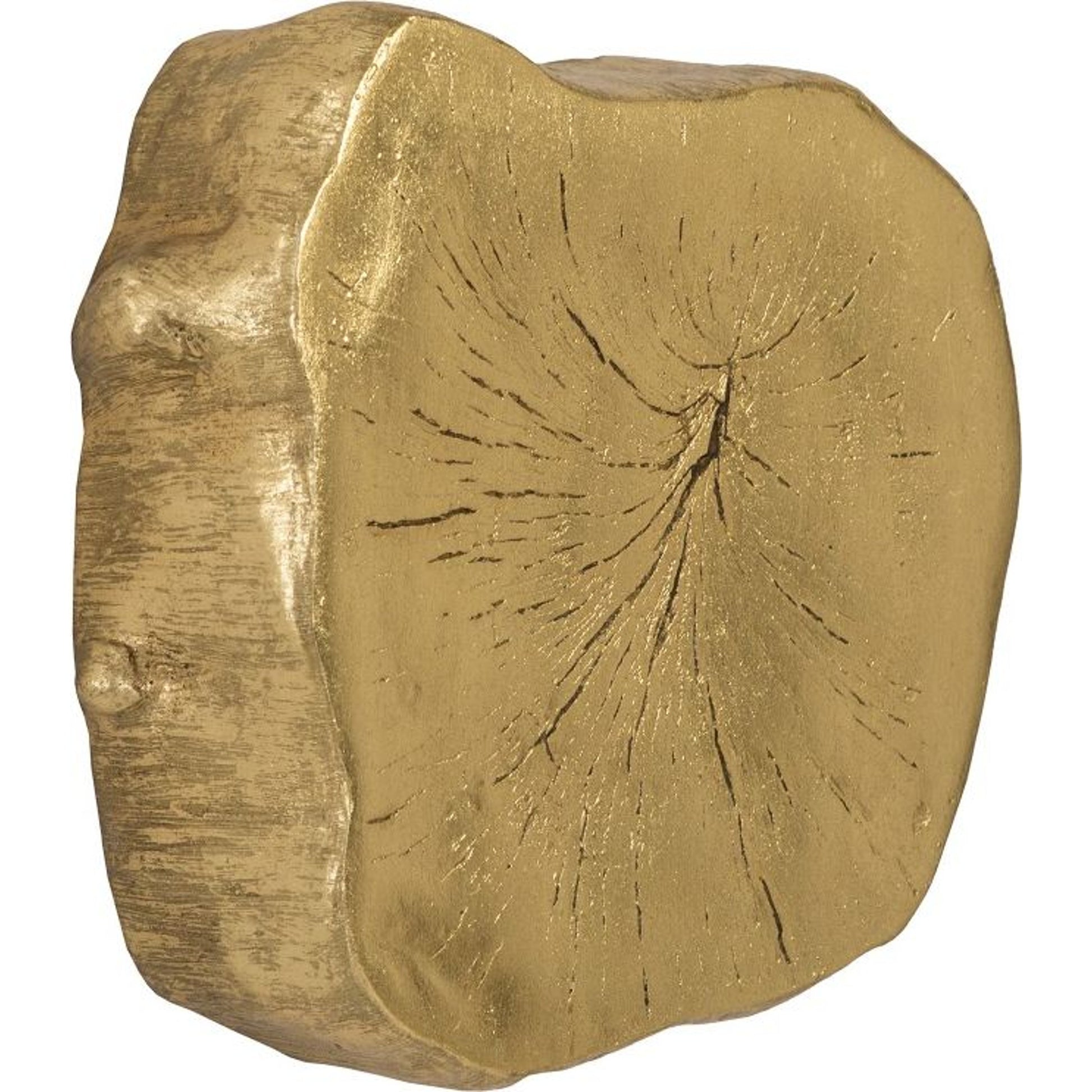 Log Wall Slice by Phillips Collection. Made from resin in a eclectic & global style.