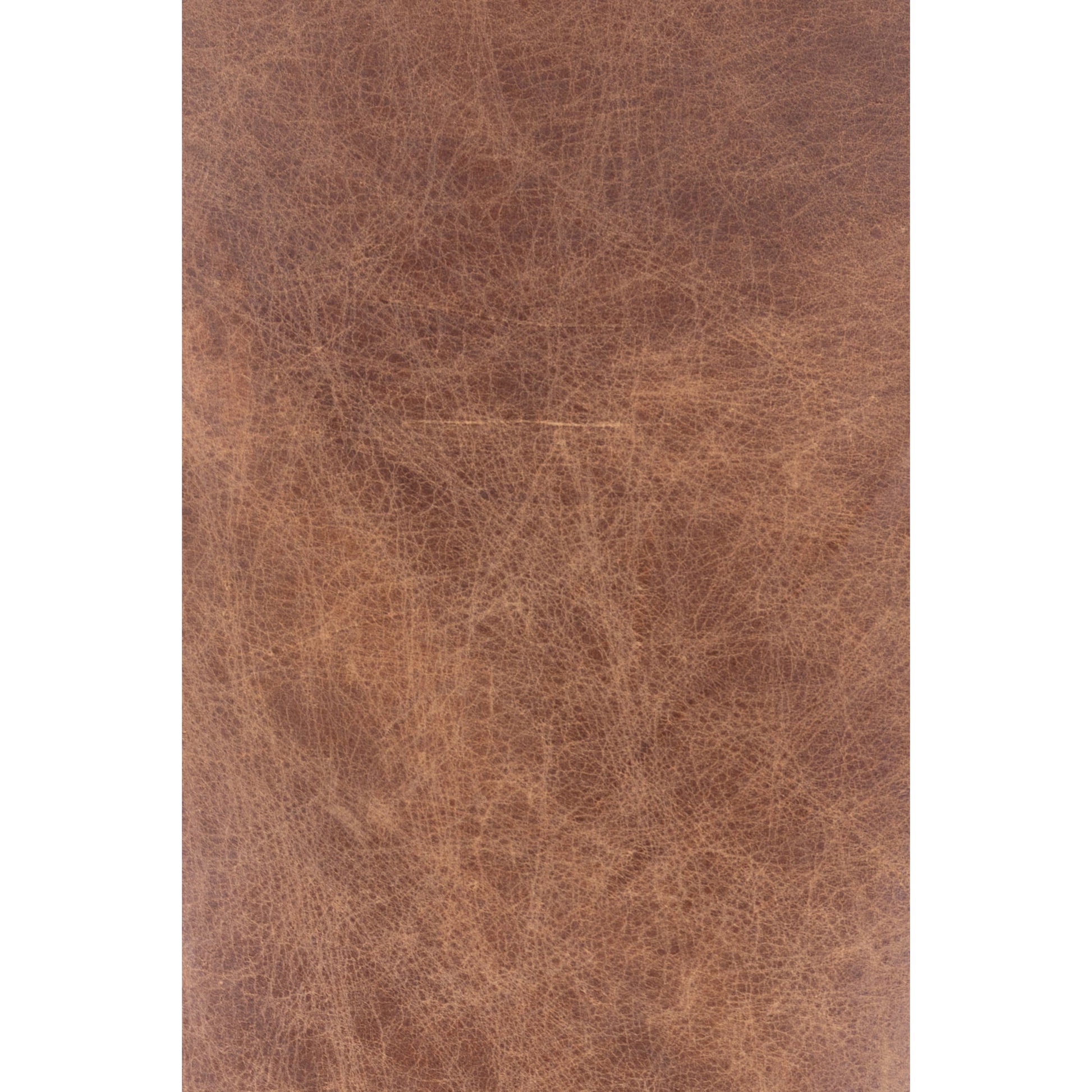 Carlisle Club Chair by Moe's Home Collection in brown. Made from top grain leather, iron frame in a modern style.