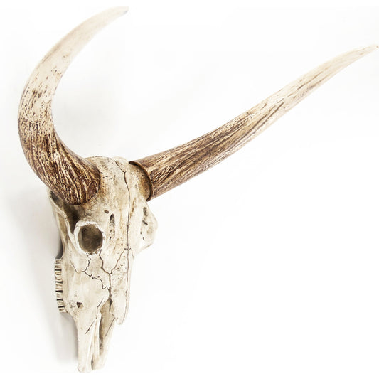 Bull Skull Wall Decor by Zentique. Made from unique in a rustic style.