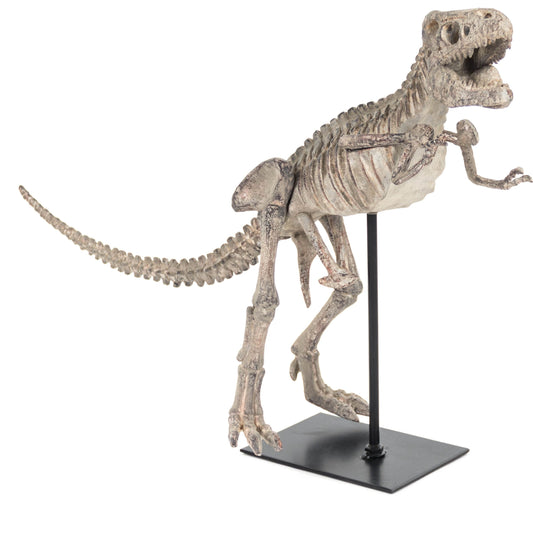 Dinosaur Skeleton by Zentique in distressed brown gray and polyresin, metal. Made from polyresin, metal in a eclectic & global style.