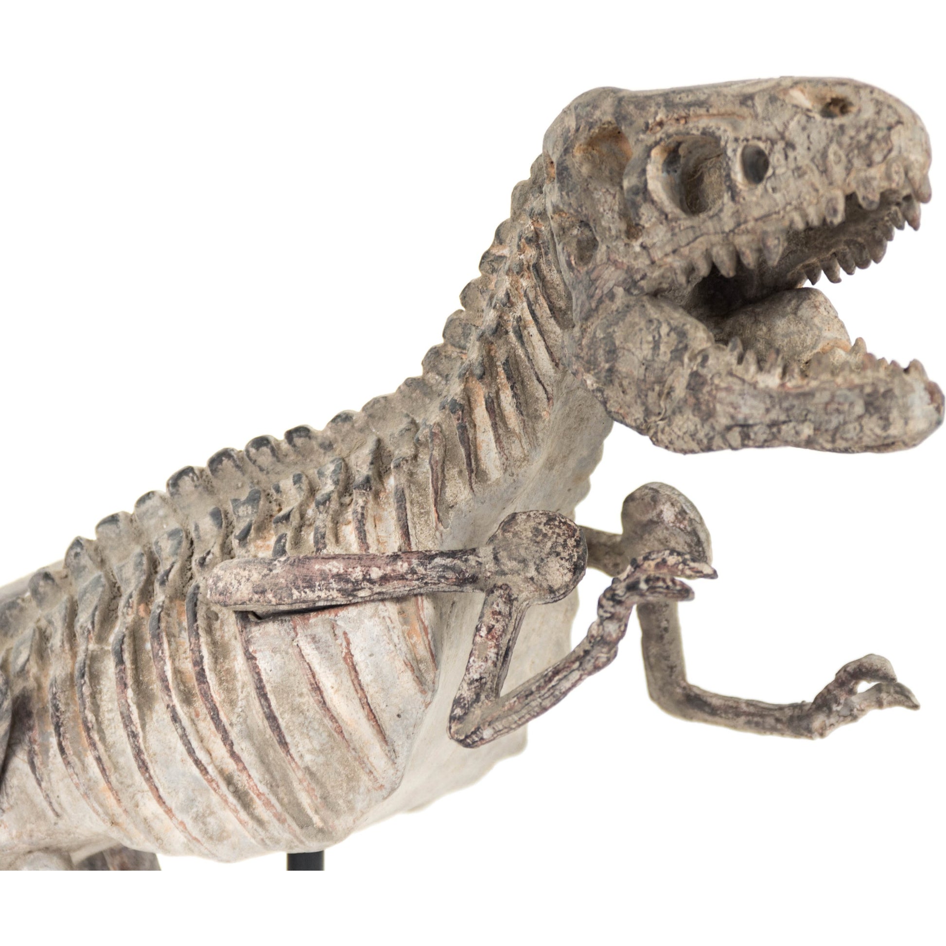 Dinosaur Skeleton by Zentique in distressed brown gray and polyresin, metal. Made from polyresin, metal in a eclectic & global style.
