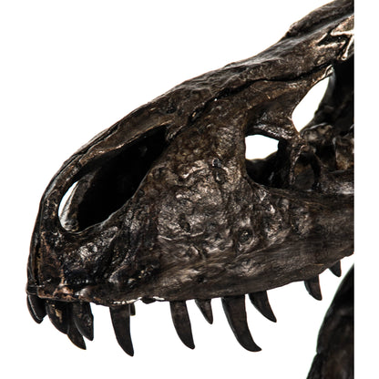 Dinosaur Skull with Base by Zentique in antique brown black on black base and polyresin, metal. Made from polyresin, metal in a eclectic & global style.