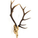 Deer Skull Wall Decor by Zentique in polyresin. Made from polyresin in a cottage & farmhouse style.