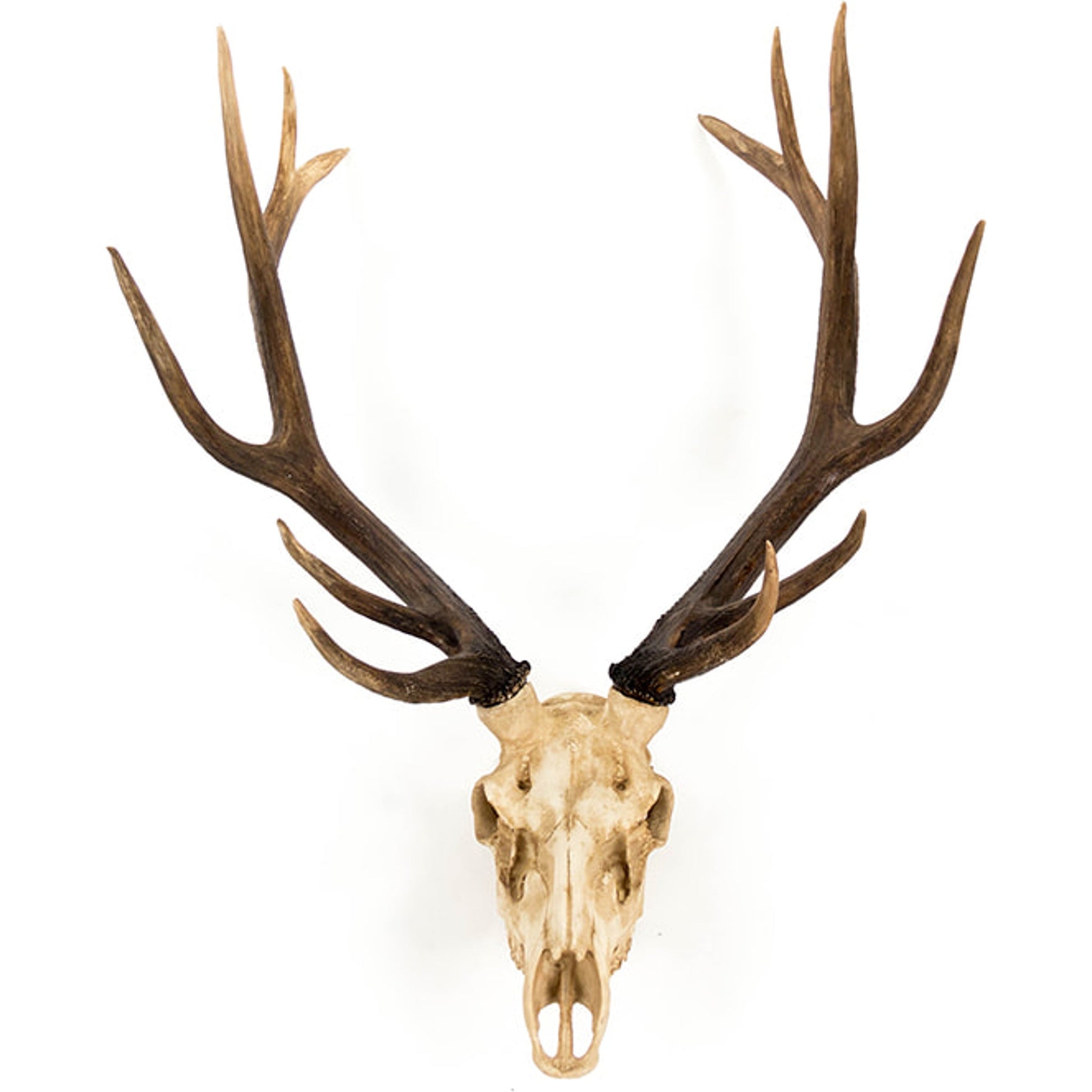 Deer Skull Wall Decor by Zentique in polyresin. Made from polyresin in a cottage & farmhouse style.