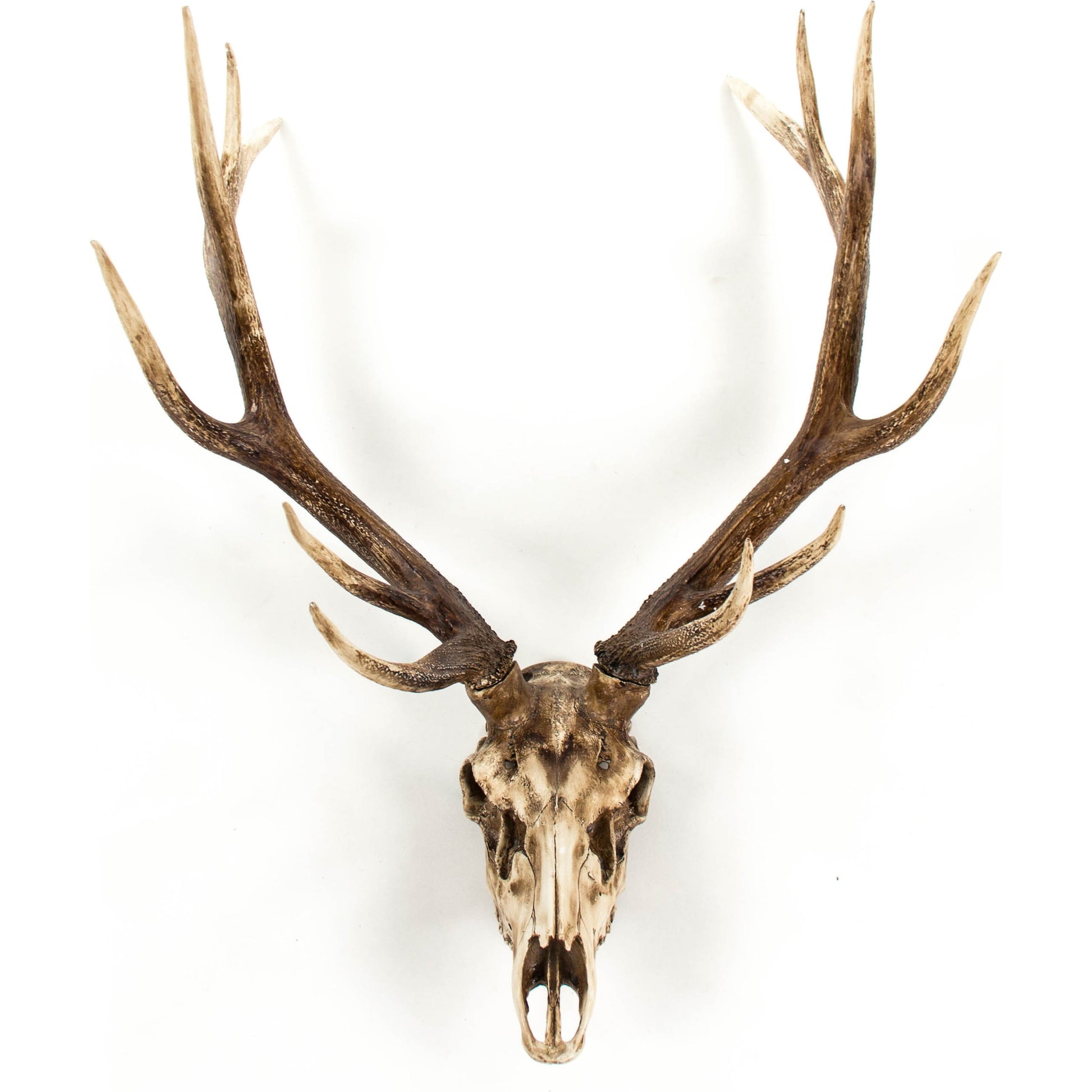 Deer Skull Wall Decor by Zentique in polyresin. Made from polyresin in a cottage & farmhouse style.
