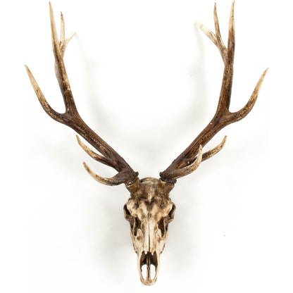 Deer Skull Wall Decor by Zentique in polyresin. Made from polyresin in a cottage & farmhouse style.