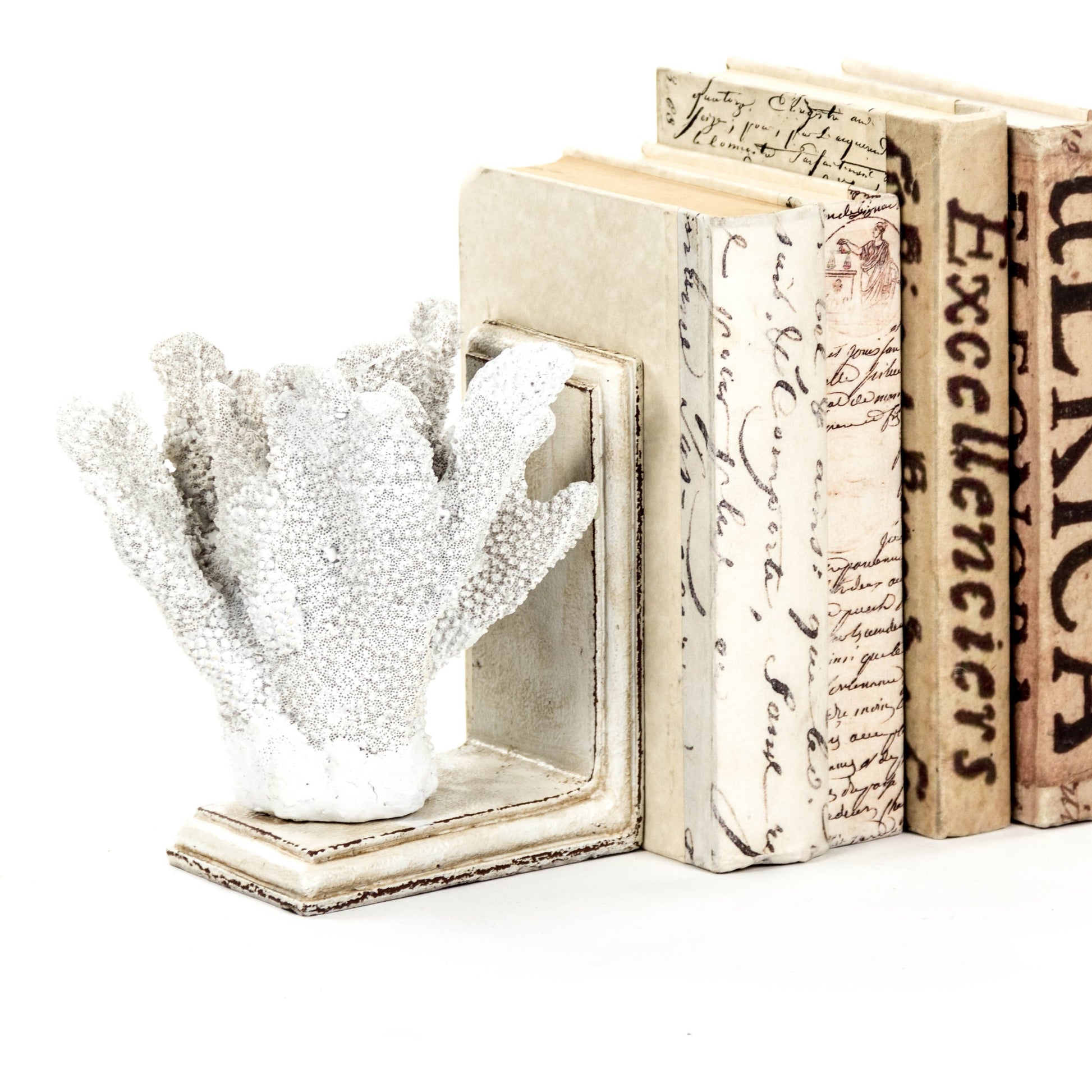 Coral Bookends by Zentique in distressed white on distressed off-white base and polyresin. Made from polyresin in a coastal style.