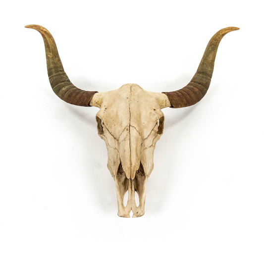 Bull Skull Wall Decor by Zentique. Made from unique in a rustic style.