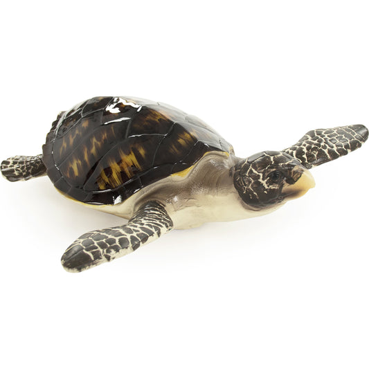 Sea Turtle Sculpture by Zentique in black, cream and resin. Made from resin in a coastal style.