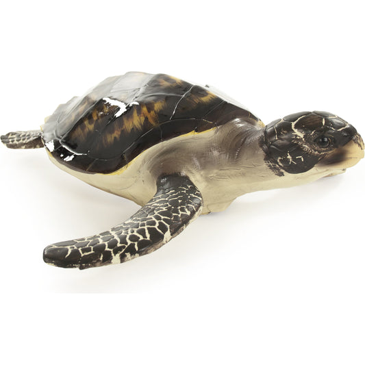 Sea Turtle Sculpture by Zentique in black, cream and resin. Made from resin in a coastal style.