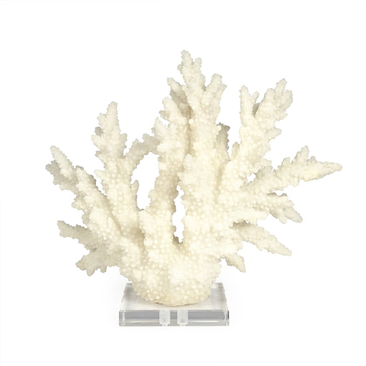 White Coral on Acrylic Base by Zentique in natural and resin, acrylic. Made from resin, acrylic in a coastal style.
