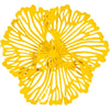 Yellow / Extra Small