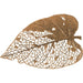 Birch Leaf Wall Art by Phillips Collection. Made from metal in a coastal style.