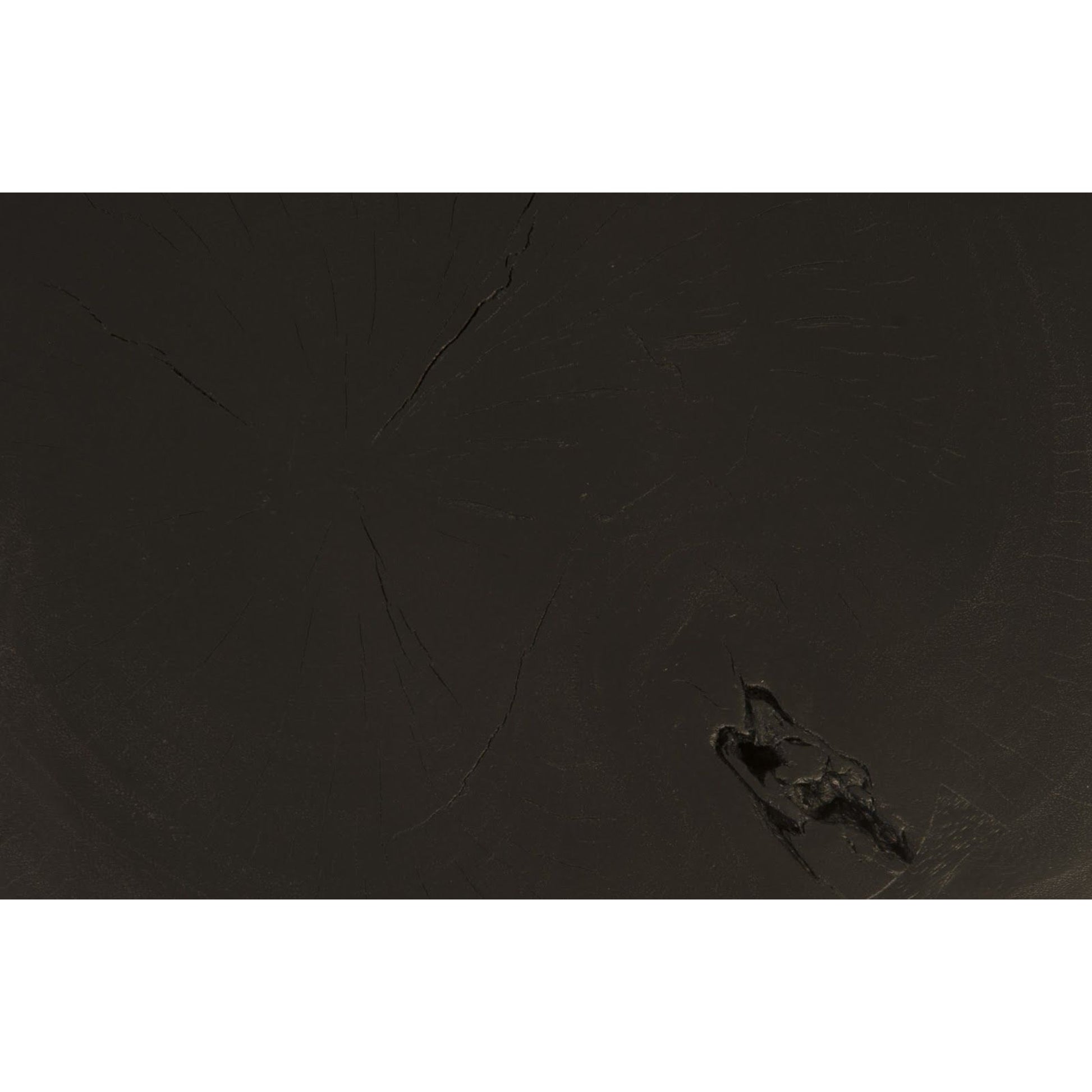 Butterfly Coffee Table by Phillips Collection. Made from unique in a modern style.