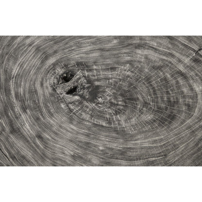 Floating Coffee Table with Acrylic Legs by Phillips Collection. Made from wood, chamcha wood acrylic in a modern style.