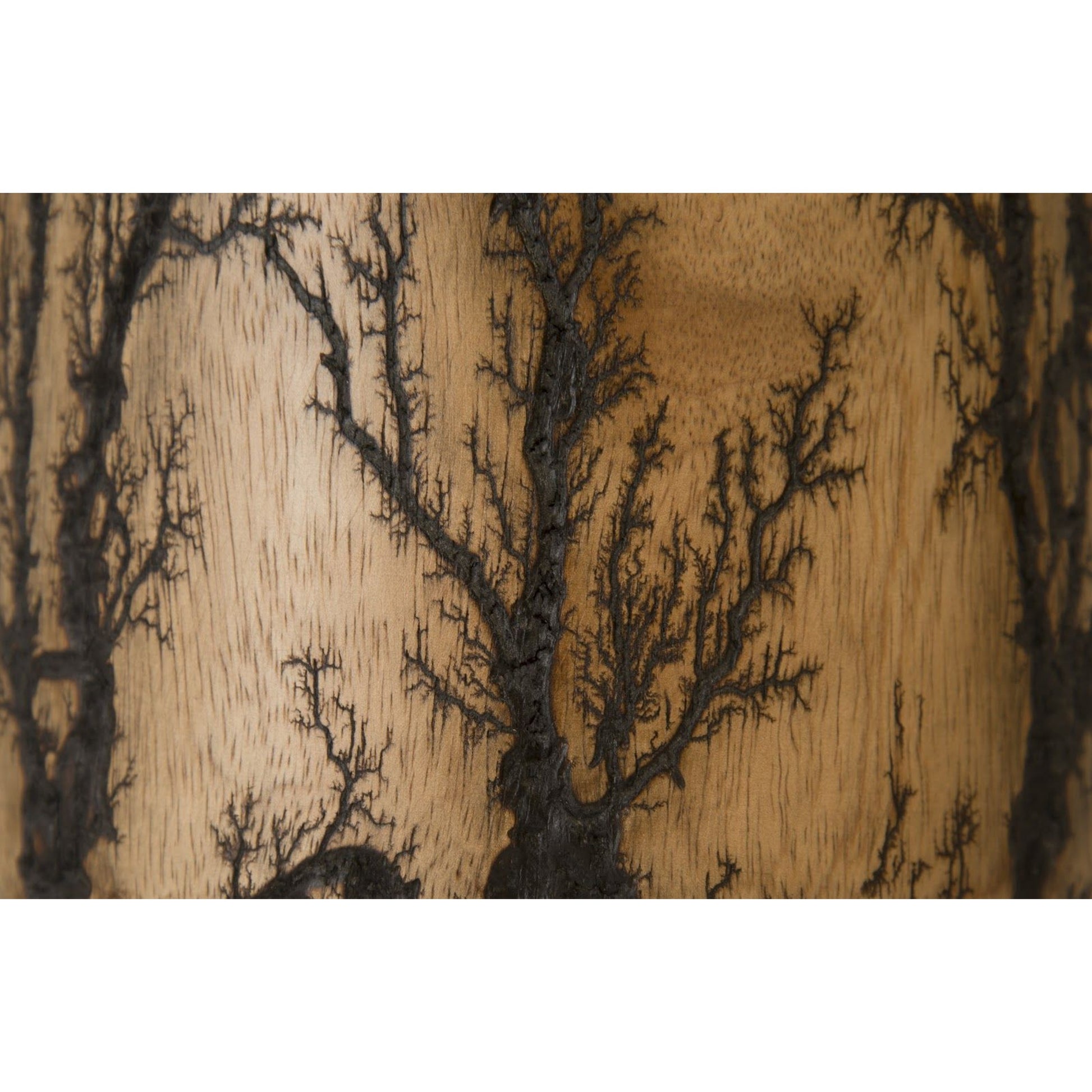 Lightning Vase by Phillips Collection in brown and charred, natural. Made from wood in a eclectic & global style.