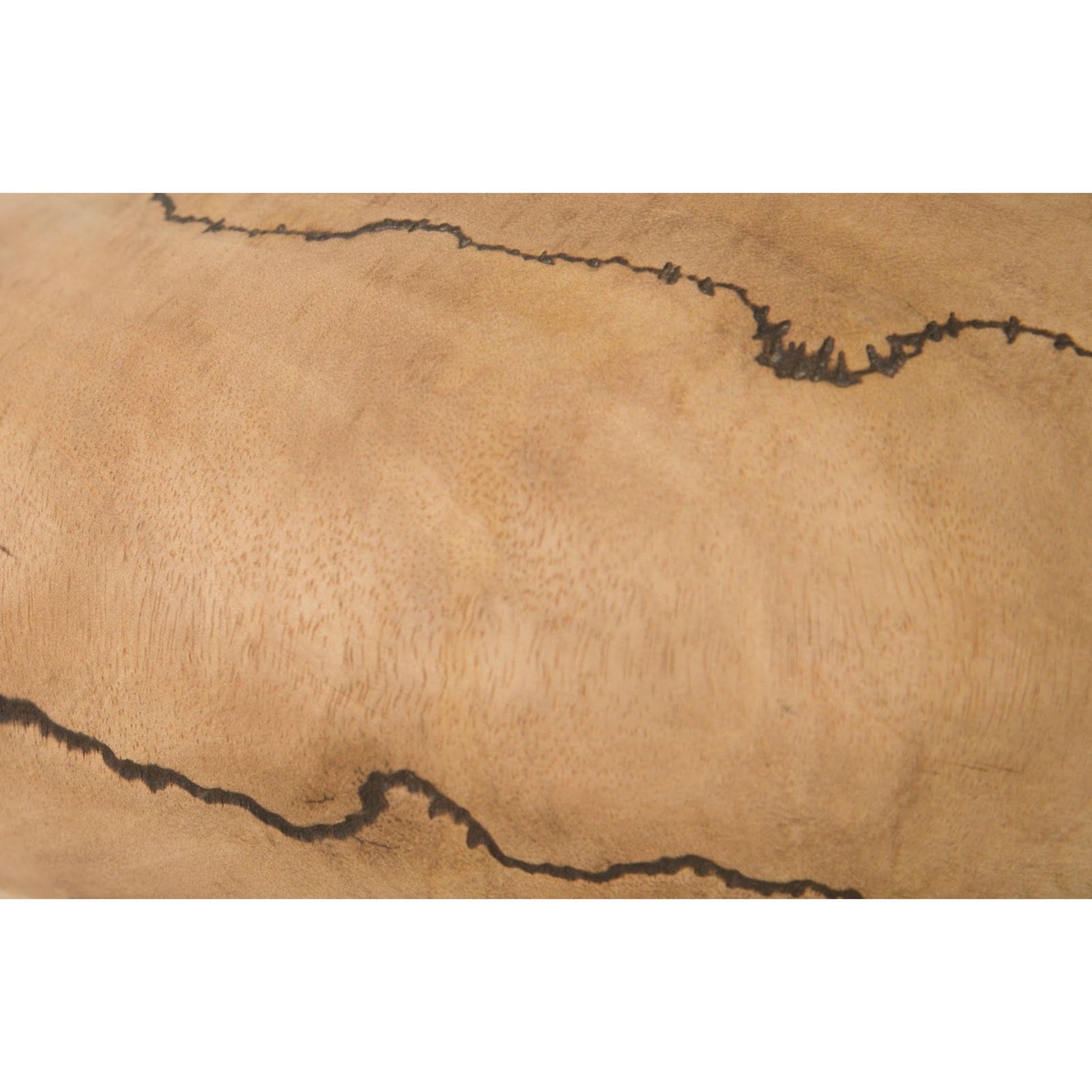 Lightning Vase by Phillips Collection in brown and charred, natural. Made from wood in a eclectic & global style.